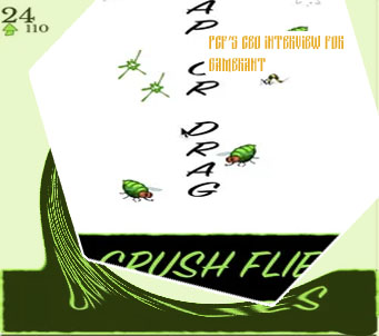 Flies game